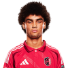 Player cutout