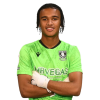 Player cutout