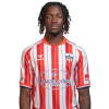Player cutout