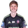 Player cutout