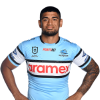 Player cutout
