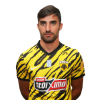 Player cutout