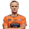Player cutout