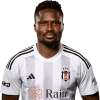 Player cutout