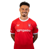 Player cutout