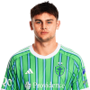 Player cutout