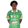 Player cutout