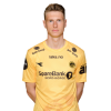 Player cutout