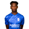 Player cutout