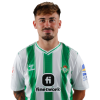 Player cutout