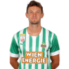 Player cutout