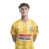 Player cutout
