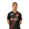 Player cutout