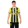 Player cutout
