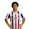 Player cutout
