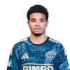 Player cutout