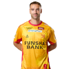 Player cutout