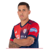 Player cutout