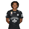 Player cutout
