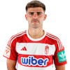 Player cutout