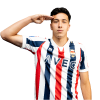 Player cutout
