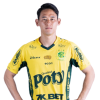 Player cutout