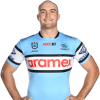 Player cutout