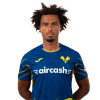 Player cutout