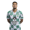 Player cutout