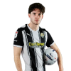 Player cutout