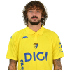 Player cutout