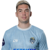 Player cutout