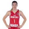 Player cutout