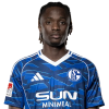 Player cutout