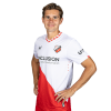 Player cutout