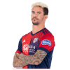 Player cutout