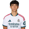 Player cutout