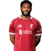 Player cutout