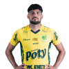 Player cutout