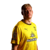 Player cutout