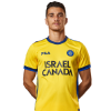 Player cutout