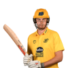 Player cutout