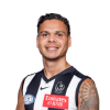 Player cutout