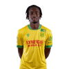 Player cutout