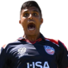 Player cutout