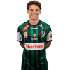 Player cutout