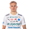 Player cutout