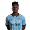 Player cutout