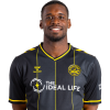 Player cutout