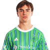 Player cutout